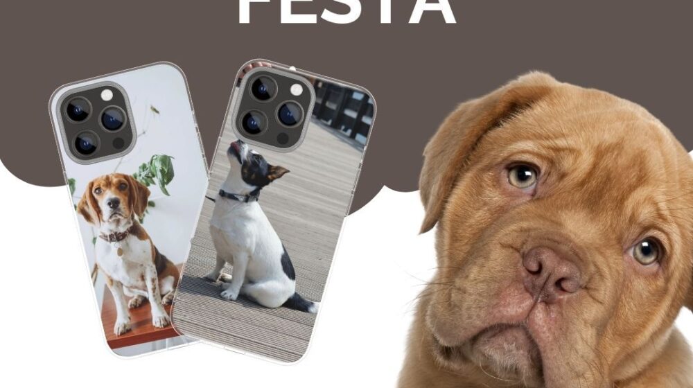 いぬのきもちFesta